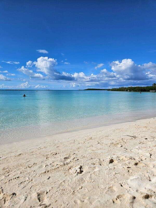 Riviera Maya: Isla Contoy and Isla Mujeres Full-Day Tour - Price and Value Analysis