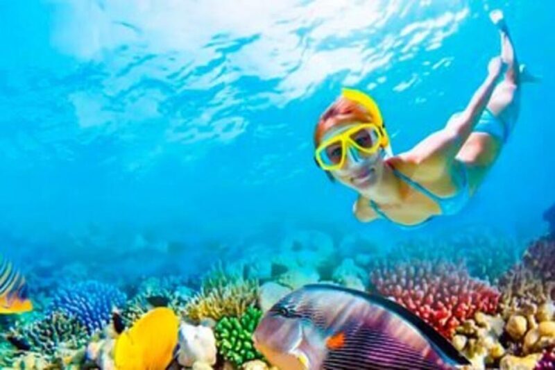 Riviera Maya: Isla Contoy and Isla Mujeres Full-Day Tour - Practical Tips for the Tour