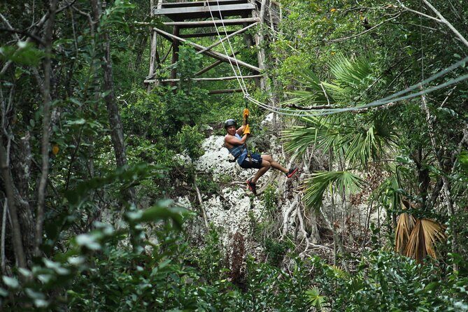 Riviera Maya Jungle Half-Day Tour: ATV, Ziplines, Cenote Swim, Rappel - Final Thoughts