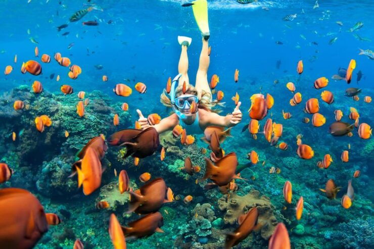 Riviera Maya: Kaan Luum and Cenote Tour With Reef Snorkeling - Activity Details