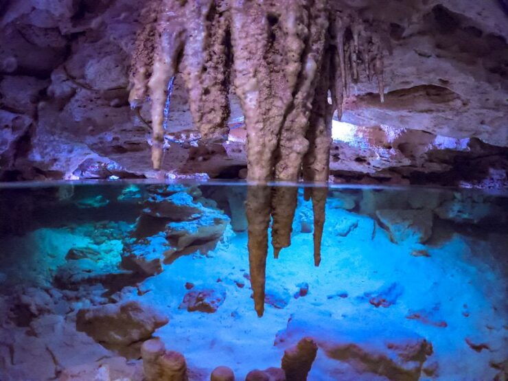 Riviera Maya: Kantun Chi Cenotes, Snorkel & Jungle Hiking - Activity Details