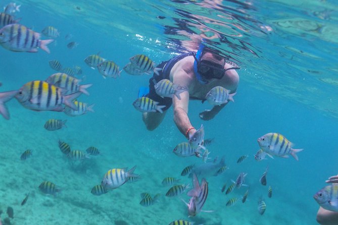 Riviera Maya Luxury Catamaran and Snorkeling, Lunch & Drinks Included - Hotel Transportation and Boarding
