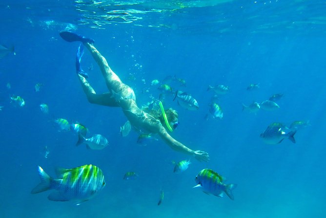 Riviera Maya Luxury Catamaran and Snorkeling, Lunch & Drinks Included - Additional Information and Requirements