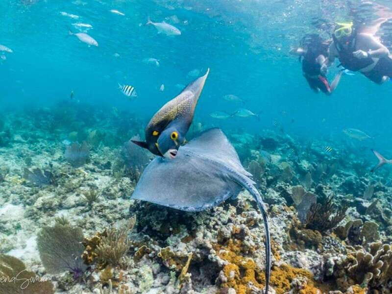 Riviera Maya: Private Catamaran Sailing for 42 Guests - Good To Know  