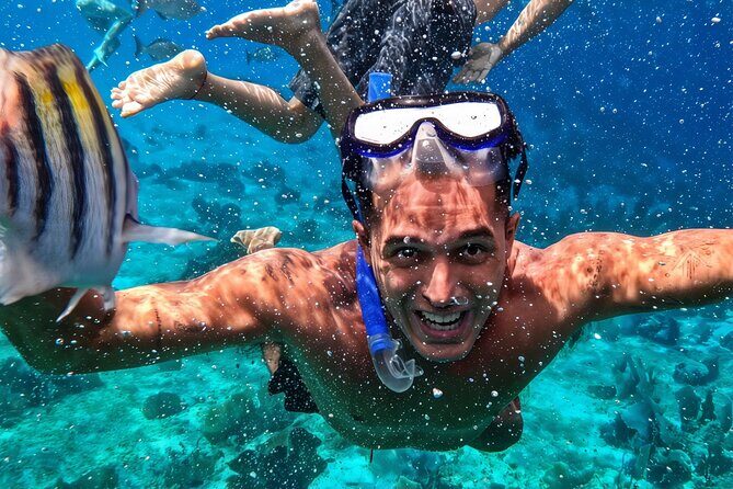 Riviera Maya Private Snorkeling Tour Adventure - Riviera Maya Private Snorkeling Tour Adventure: An In-Depth Review