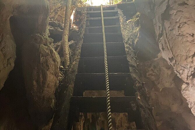 Riviera Maya Private Snorkeling Tour Adventure - FAQ