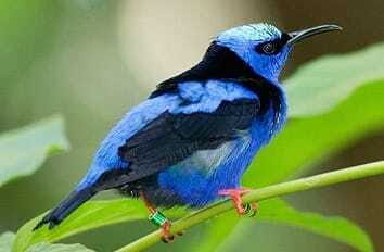 Riviera Maya: Puerto Morelos 4-Hour Bird Watching Tour - The Value of the Price Point