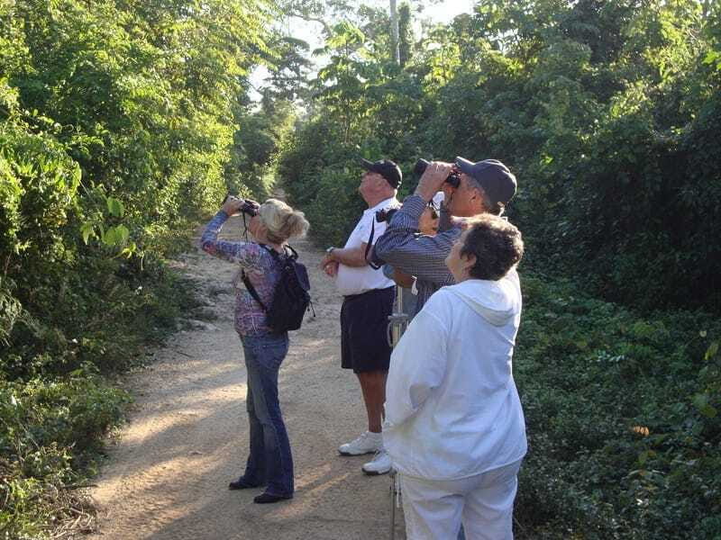 Riviera Maya: Puerto Morelos 4-Hour Bird Watching Tour - FAQ