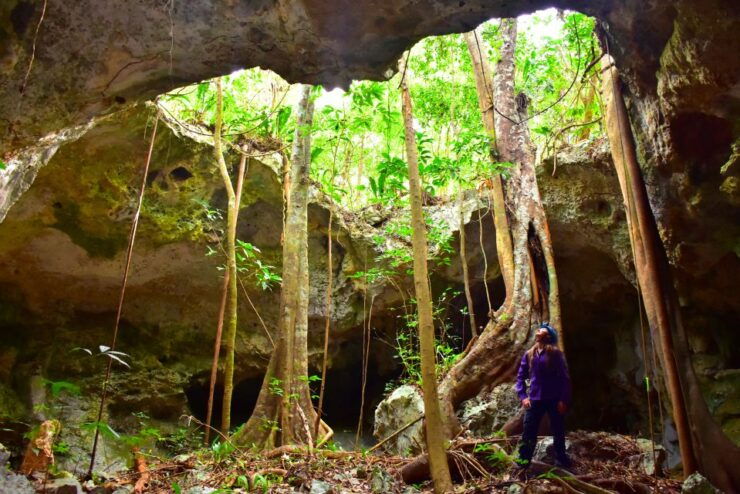 Riviera Maya: Rio Secreto Wild Tour With Lunch - Activity Details