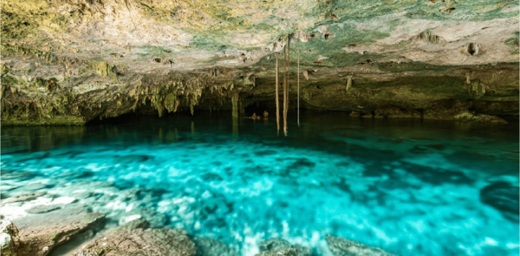 Riviera Maya: Snorkel Cenotes - Experience Highlights