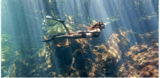 Riviera Maya: Snorkel Cenotes - Inclusions