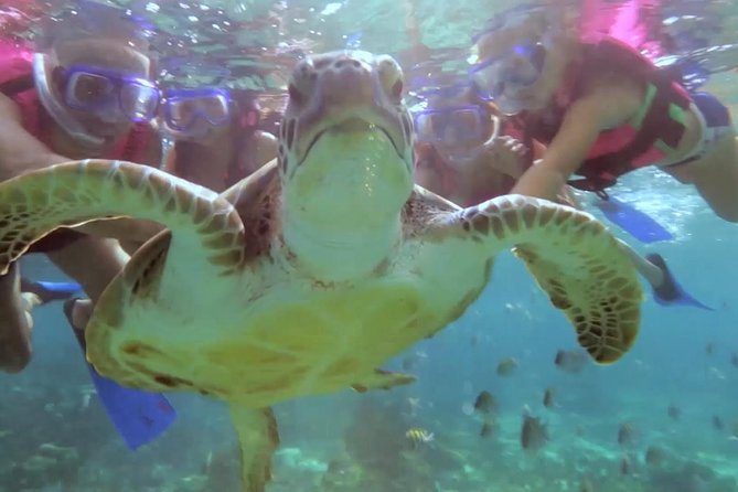 Riviera Maya Snorkeling - Best Snorkeling Spots in Riviera Maya