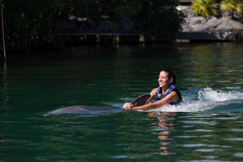 Riviera Maya: Swim with dolphins Interax - What You Can Expect From the Experience