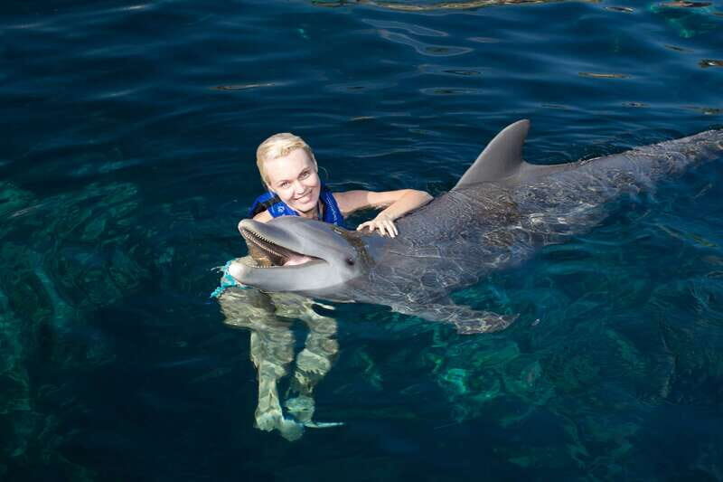 Riviera Maya: Swim with dolphins Interax - Authentic Moments and Honest Feedback