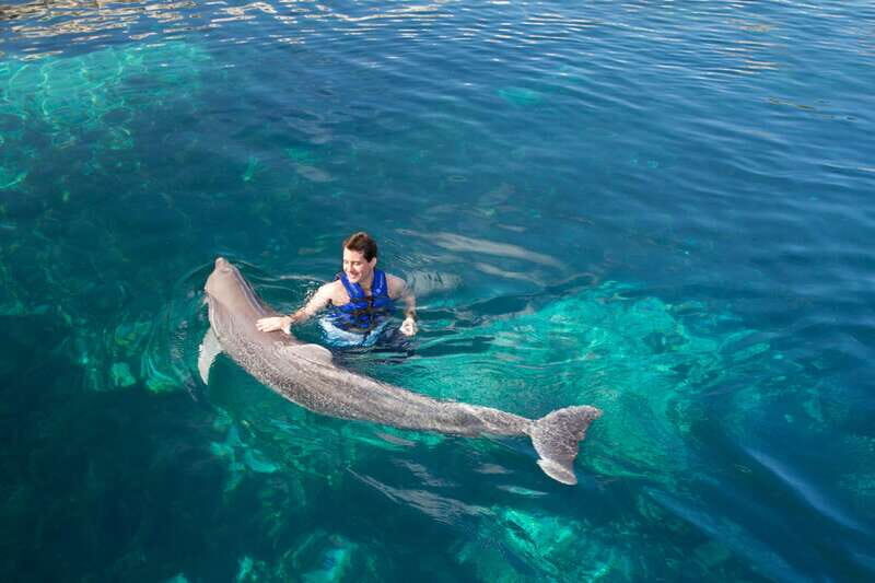 Riviera Maya: Swim with dolphins Interax - Who Would Enjoy This Tour?