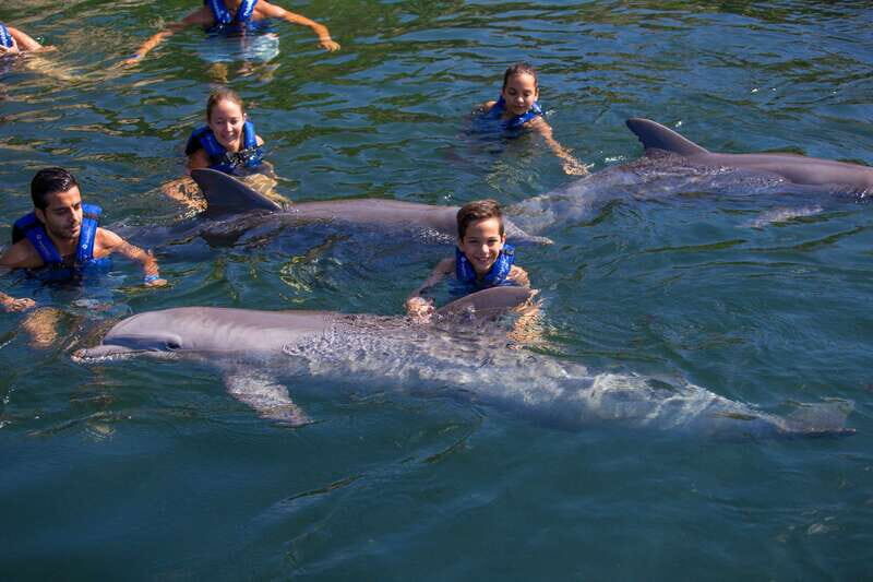 Riviera Maya: Swim with dolphins Interax - FAQ