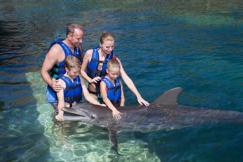 Riviera Maya: Swim with dolphins Primax - Final Thoughts