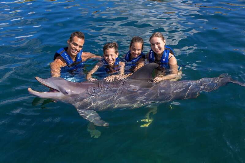 Riviera Maya: Swimming Experience with Dolphins - Who Will Love This Tour?