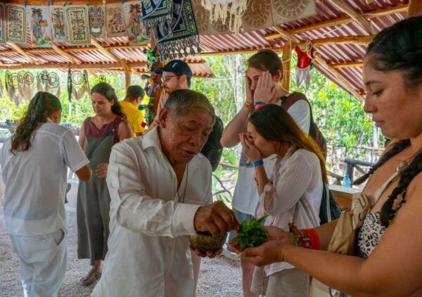 Riviera Maya: Tulum and Coba Ruins Tour With Cenote Swim - Playa Del Carmen Visit