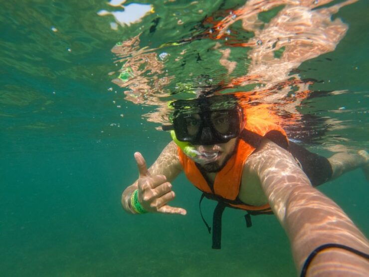 Riviera Maya: Turtles Snorkeling and Cenote Cave - Activity Details