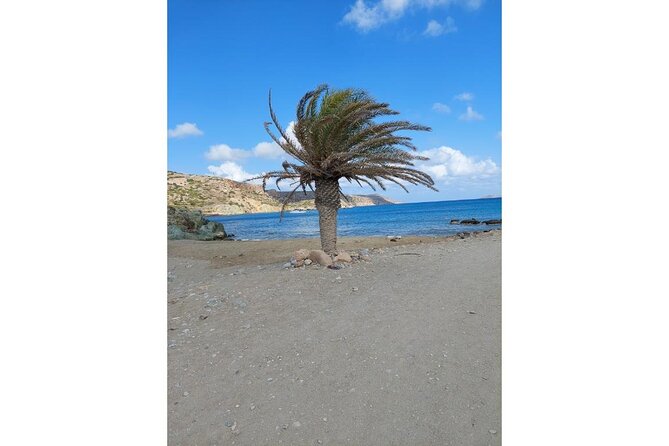 RIVIERA - Vai Palm Beach, Toplou Monastery - History and Background of Vai Palm Beach