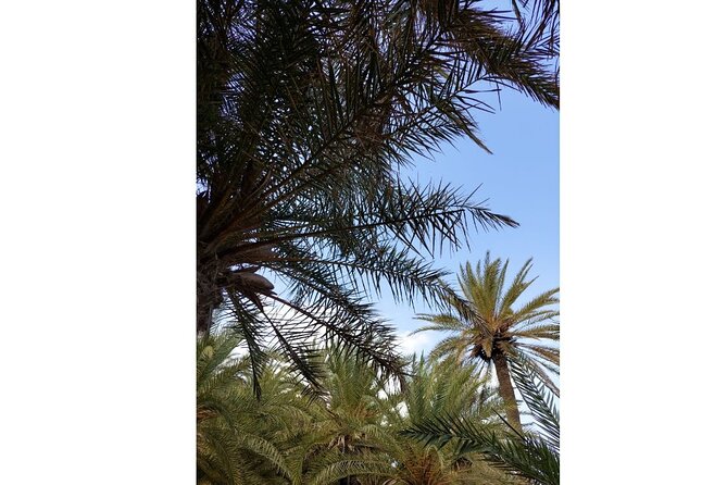RIVIERA - Vai Palm Beach, Toplou Monastery - Discovering the Rich Cultural Heritage of Toplou Monastery