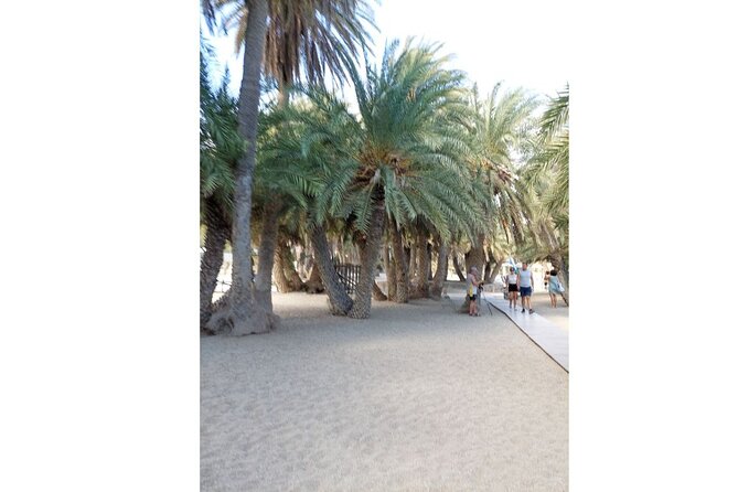 RIVIERA - Vai Palm Beach, Toplou Monastery - Tips for Planning Your Visit to RIVIERA - Vai Palm Beach and Toplou Monastery