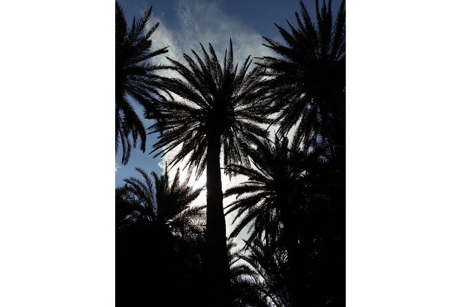 RIVIERA - Vai Palm Beach, Toplou Monastery - Common Questions