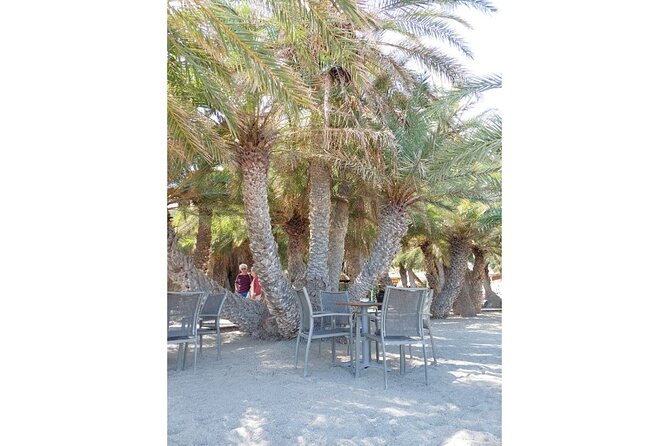RIVIERA - Vai Palm Beach, Toplou Monastery - The Sum Up