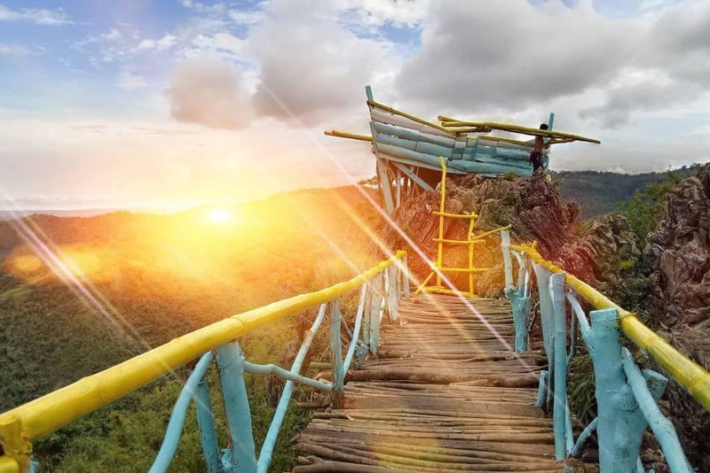 Rizal Fresno Agro Forestry One-Day Private Nature Tour - Should you book the Mt. Kulis day tour?