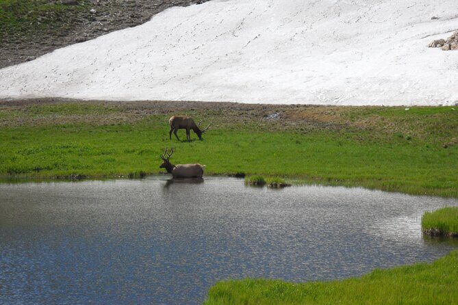 RMNP: Bear Lake Corridor Tour - Good To Know