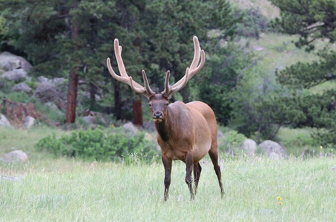 RMNP: Bear Lake Corridor Tour - Final Thoughts