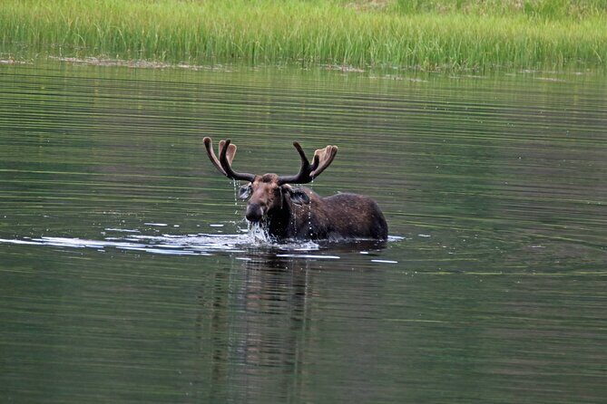 RMNP: Bear Lake Corridor Tour - FAQs