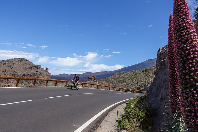 Road Cycling Tenerife - Teide Route - Tour Details