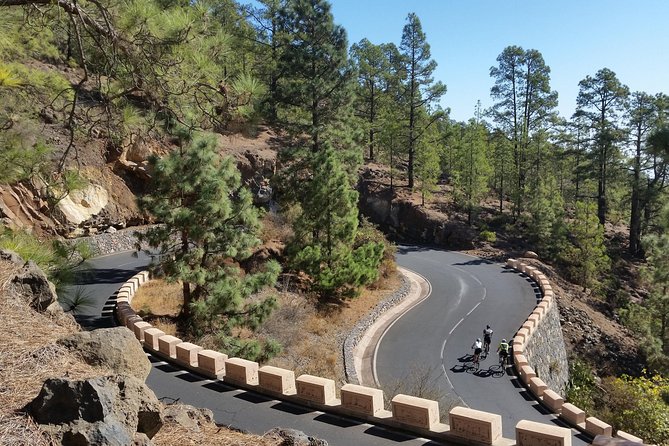 Road Cycling Tenerife - Teide Route - Questions and Help Center