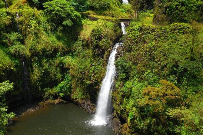 Road to Hana, Black Sand Beach, Waterfalls & Turtles Tour - Tour Overview