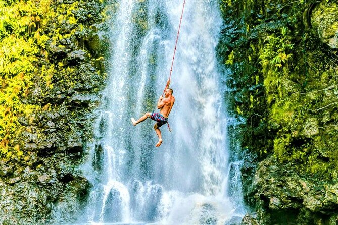 Road to Hana, Black Sand Beach, Waterfalls & Turtles Tour - Meeting and Pickup