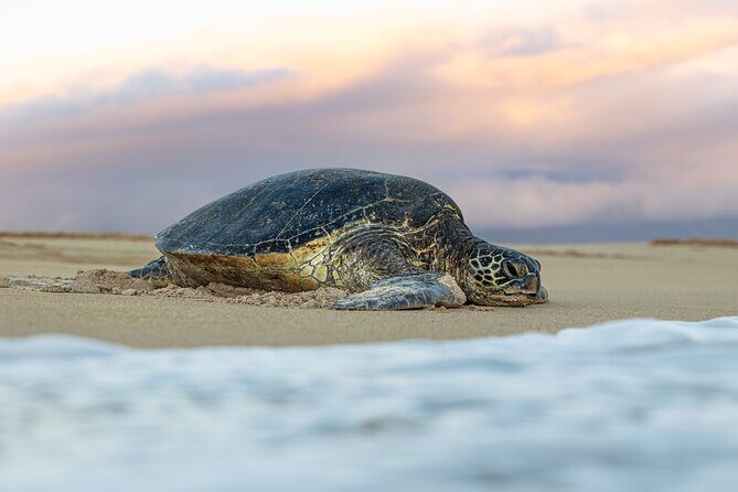 Road to Hana Halfway and Haleakala National Park - A Detailed Look at the Itinerary