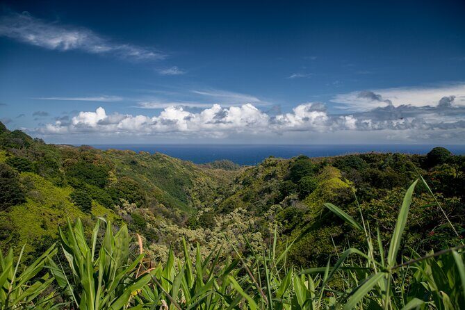 Road to Hana Halfway and Haleakala National Park - Final Thoughts: Who Is This Tour Best For?
