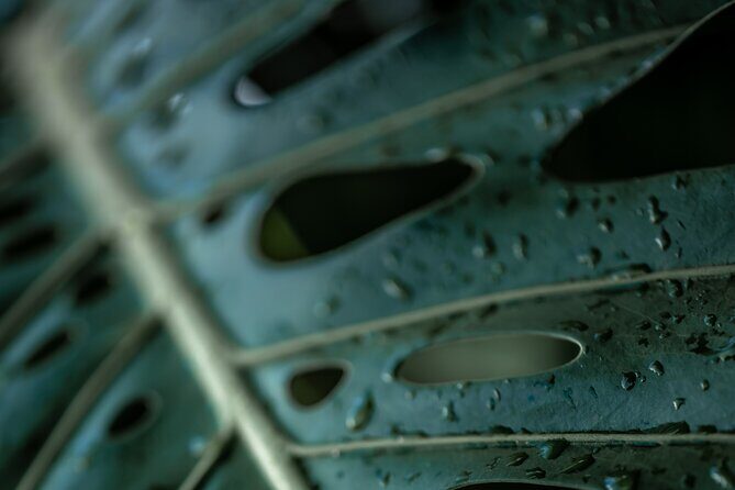 Road to Hana Halfway and Haleakala National Park - FAQs