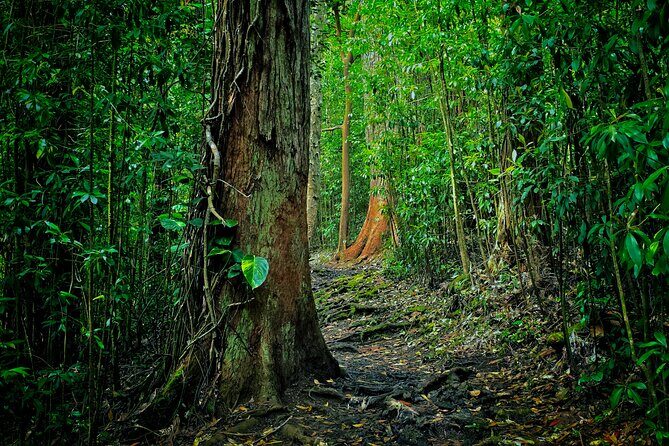 Road to Hana Halfway Tour - Good To Know  