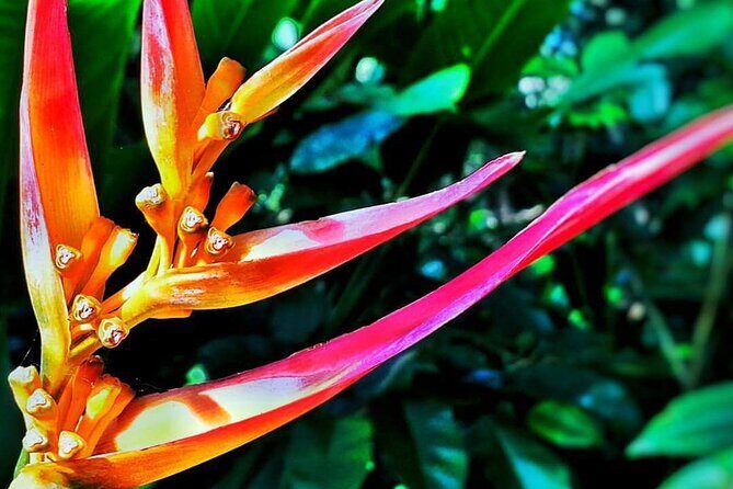 Road to Hana Halfway Tour - Detailed Look at the Itinerary