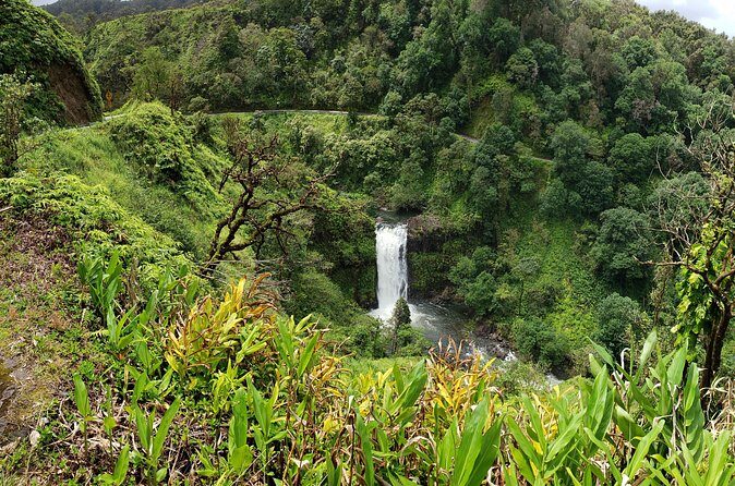 Road to Hana Halfway Tour - Authentic Experiences from Reviews