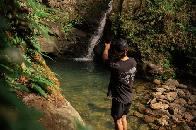 Road to Hana Photoshoot Adventure - Pricing and Booking
