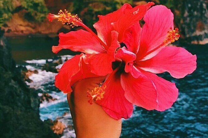 Road to Hana Tour With GO PRO 10 Videography - Tour Overview and Highlights