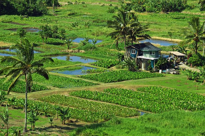 Road to Hana Tour With Lunch and Pickup - Additional Information