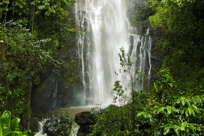 Road to Hana Tour With Lunch and Pickup - Starting Price