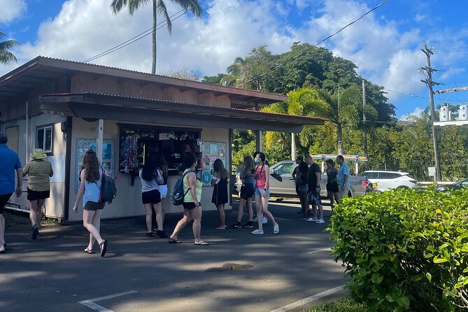 Road to Hana Tours With Hotel Pick-Up, Black Sand Beach , Waterfalls and More! - Tips for a Memorable Road to Hana Tour