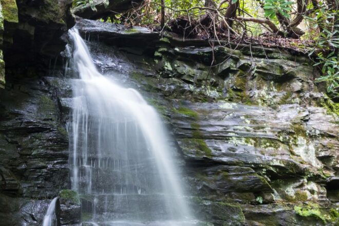Roaring Fork Trail Self-Guided Driving Audio Tour - Inclusions and Support