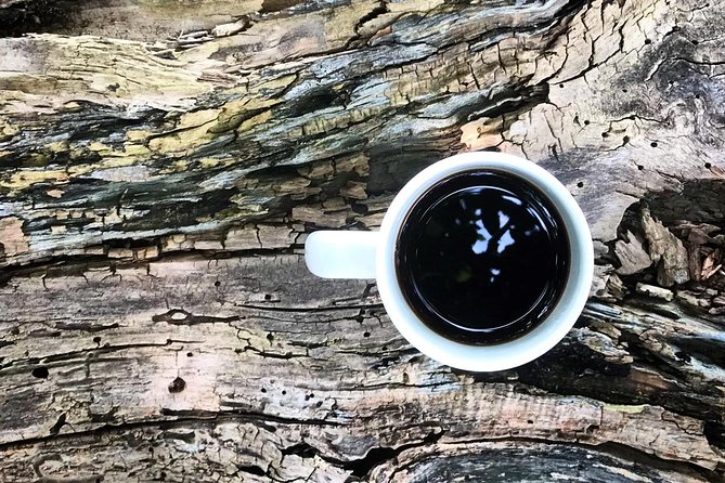 Roasting Experience at 14th Coffee Co - Meeting, Pickup, and Additional Information